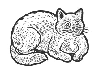 Fat cat sketch engraving raster illustration. T-shirt apparel print design. Scratch board imitation. Black and white hand drawn image.