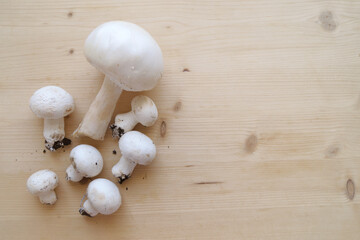 Champignon Mushrooms, white button mushrooms arranged on a light wood background
