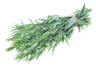 Pile of fresh green tarragon - Artemisia Dracunculus on an isolated white background