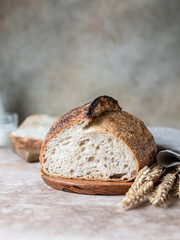 Loaf of fresh homemade sourdough bread on plate with wheat ears, concrete background.
