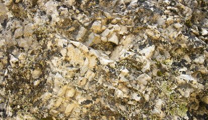 Background of rocks