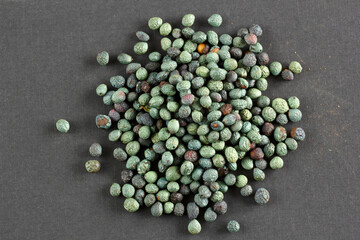 Pistacia terebinthus, Fruits of Terebinth. Menengic seeds. Citlembik.