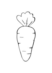 illustration of a carrot in vector art