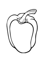 illustration of a capcicum in  vector art 