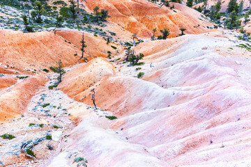 Vivid sand dunes in Bryce Canyon National Park