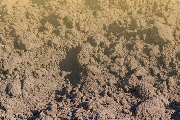 Texture of fertile soil for planting as background.Toned.