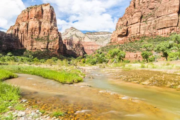 Fotobehang Panorama of Zion in the USA © Fyle