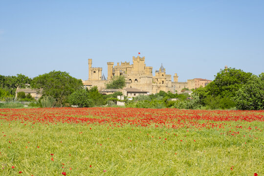 Poppies in spring and castle of Olite in Navarre