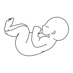 Vector  line art illustration of a newborn. Linear sleeping baby for creating greeting cards, postcard, invitations, banners, arrangement illustrations, books, covers.