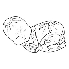 Vector  line art illustration of a newborn. Linear sleeping baby for creating greeting cards, postcard, invitations, banners, arrangement illustrations, books, covers.