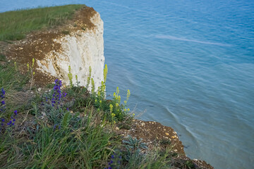 View of the bright blue water of the ocean from the top of the cliff. The ocean at the foot of the cliff.
