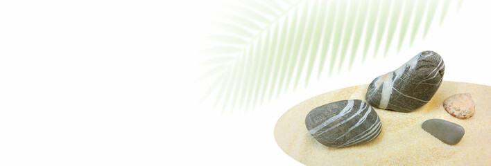 Layout with fine sea sand, shells and pebbles on a white background.
 Tropical leaves, white background. Close-up.