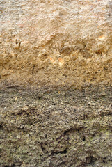 Rough Textured Rock on Seaside Cliff in Close Up 