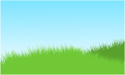 Fototapeta na wymiar grassy hill, grassy field with clear sky background
