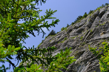 group of climbers climbing rock, active lifestyle of people, mountaineering, via ferrata in...