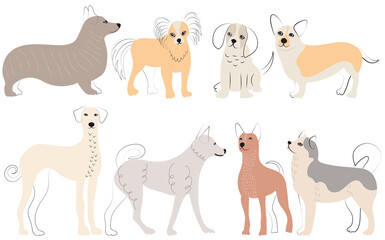 dogs doodle set, cartoon cute dog, isolated, vector
