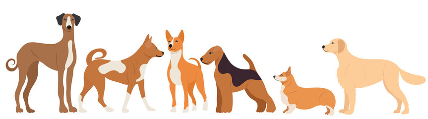 dogs of different breeds flat design, , isolated, vector