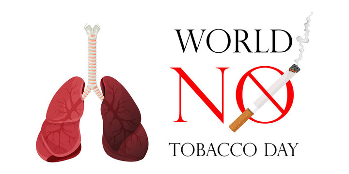 Poster, flyer or banner for World No Tobacco Day and an image of human lungs. Vector illustration, stop tobacco