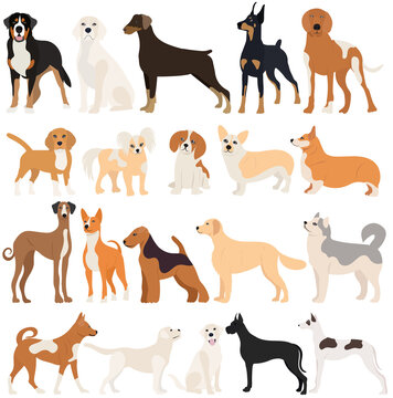 dogs set flat design, , isolated, vector