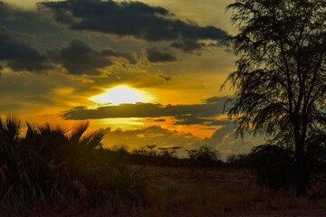 Obraz premium Golden sunset at Smaburu National Park, Kenya