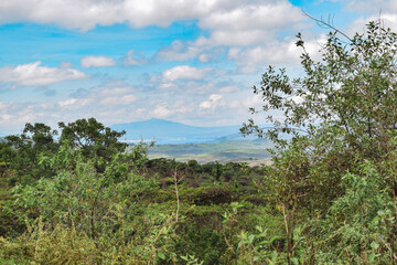 Fototapeta na wymiar Scenic view of landscapes against sky at Naivasha, Kenya