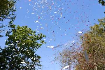 Confetti in the air during a celebration