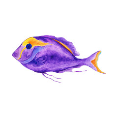 Watercolor tropical fish.Underwater world of the sea or ocean.