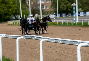 a trio of harnessed horses on a race track at a hippodrome