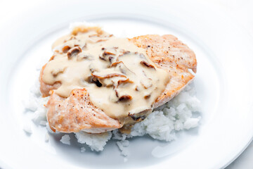 poultry meat with mushroom sauce and rice