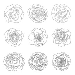 Hand drawn line sketch of roses, simple abstract flowers doddle collection for frame pattern logo floral design vector illustration