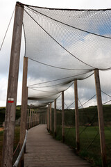 Net over a path in the countryside