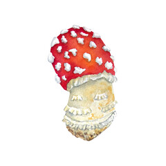 Watercolor mushrooms, fly agaric on white background. Botanical illustration for postcards, posters, textile design.