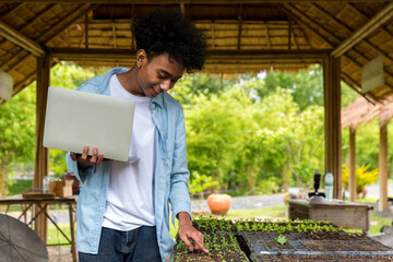 man using laptop. student work at Vegetable Garden Lab site