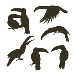 toucan tropical bird vector illustrations silhouette set