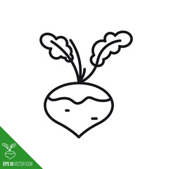 Turnip root vegetable vector line icon