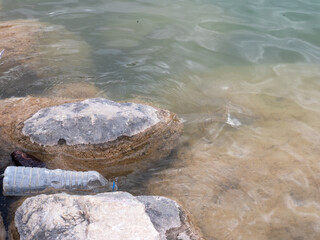 A dropped plastic bottle in the pond, earth day, World Enviroment Day