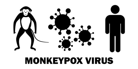 Monkey pox virus. Monkey Pox virus outbreak pandemic. Disease spread, symptoms or precautions. Vector Illustration.