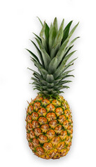 Fototapeta premium Yellow Ripe ripe pineapple on white background