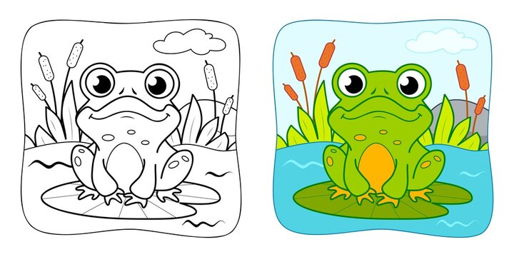 Coloring book or Coloring page for kids. Frog vector clipart. Nature background.