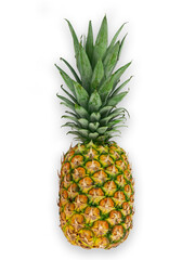 Fototapeta premium Yellow Ripe ripe pineapple on white background
