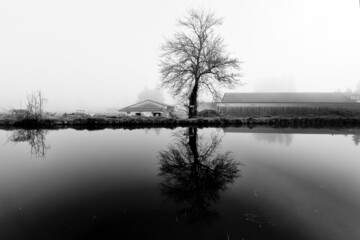 Foggy morning on the canal of  the Loing river in the French Gatinais Regional Nature Park