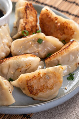 Pan-fried gyoza dumpling jiaozi in a plate with soy sauce on gray table background.