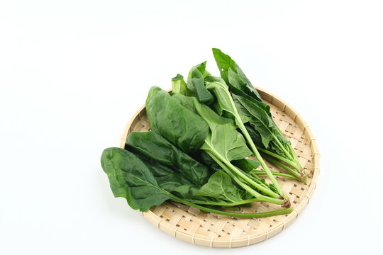 Japanese mastered spinach, Horenzo (Bayam Jepang). Close up. Selected focus image.

