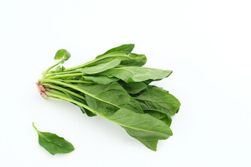 Japanese mastered spinach, Horenzo (Bayam Jepang). Close up. Selected focus image.
