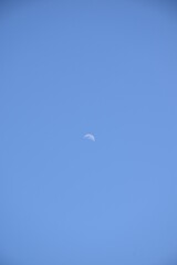 moon in the sky