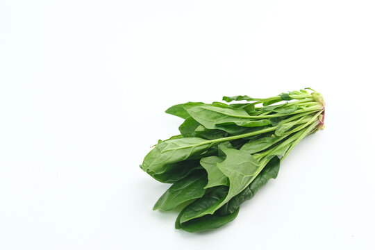 Japanese mastered spinach, Horenzo (Bayam Jepang). Close up. Selected focus image.
