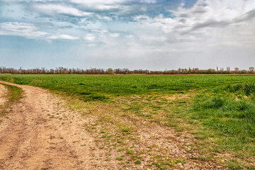 An empty dirt road through cultivated fields towards the countryside. Dirt driveway through green fields and cloudy sky. Spring view. Young green wheat fields in spring.