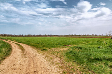 Dirt driveway through green fields and cloudy sky. Spring view. An empty dirt road through cultivated fields towards the countryside. Young green wheat fields in spring.