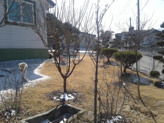 south korea iwon-ri  winter  village grass 
