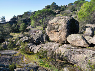 Granito y pinos en el Concejo